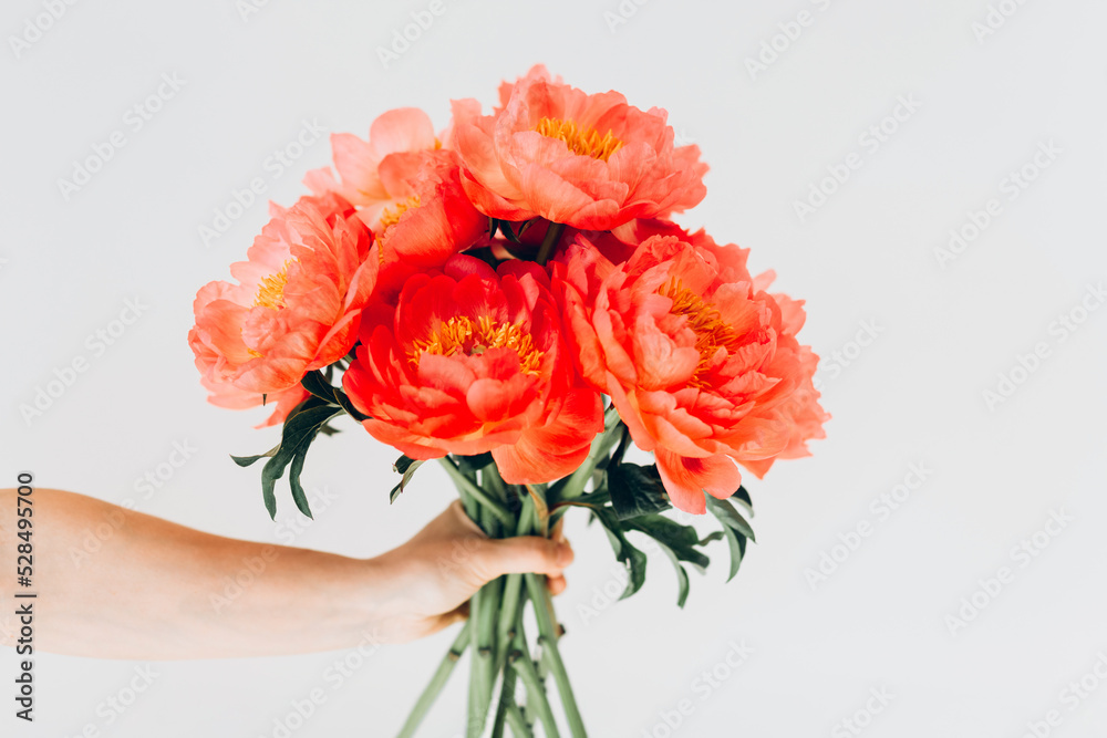 Cropped shot of female hand holding a bright bouquet of pink peonies. Woman with spring flowers. White background,close up