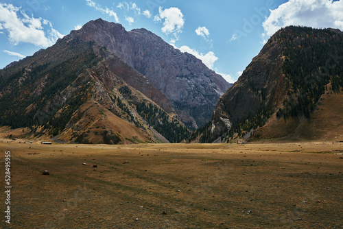 Tien Shan mountains in Kyrgyzstan #528495955