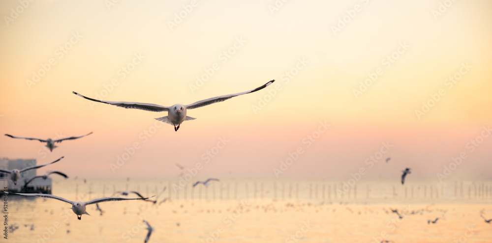 Naklejka premium seagulls flying above the sea at beautiful sunset time with a twilight scene.