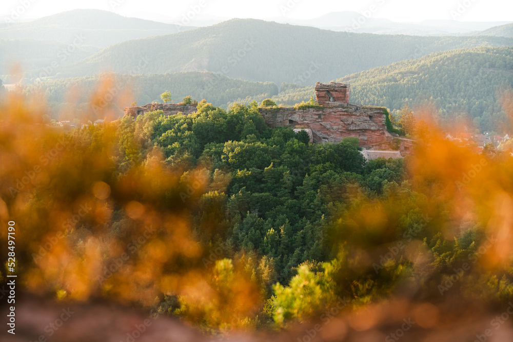 Obraz premium Sandstein Burg Burgruine Drachenfels im Pfälzerwald in Rheinland Pfalz in Deutschland zum Sonnenuntergang