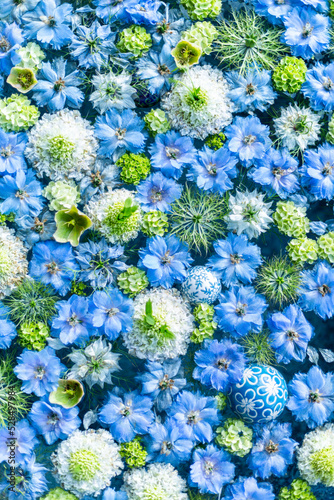 水に浮く青い花