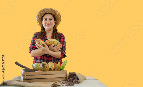 Portrait of happy farmer woman standing holding fresh cacao fruit and looking at camera with isolated on yellow background.