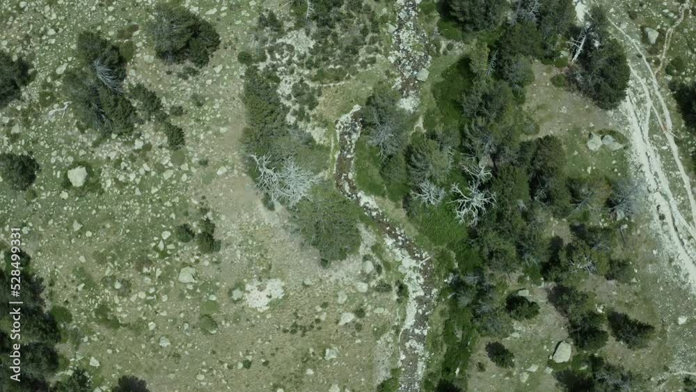 4K aerial shot of a forest and mountains in clouds 