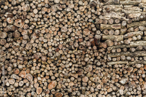 Pile of wood logs texture background