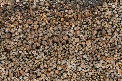 Pile of wood logs texture background