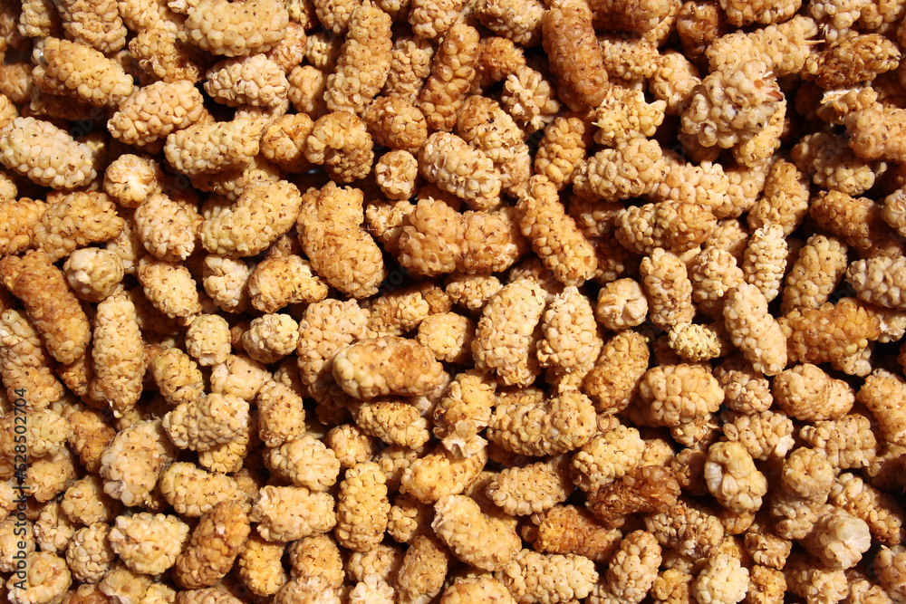 Dried white mulberries as a background Dried white mulberries as a background