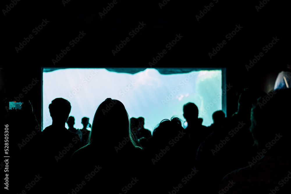 silhouette of people in front of large blue aquarium window