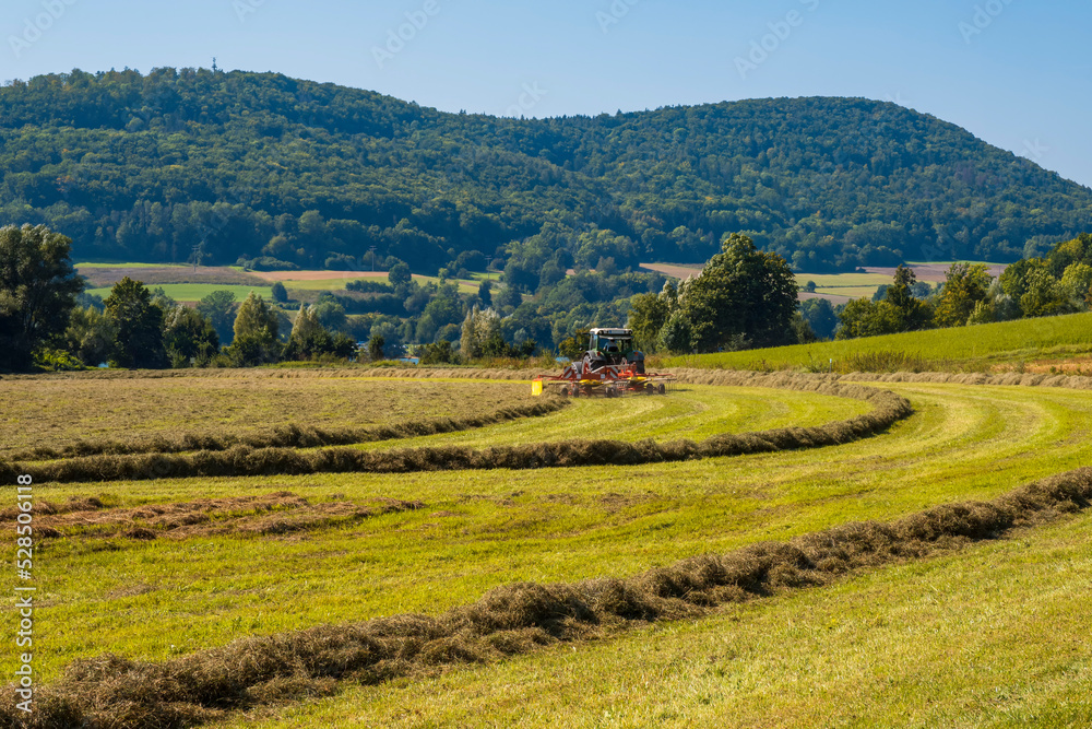 A farmer turns the mown grass on the meadow to dry further