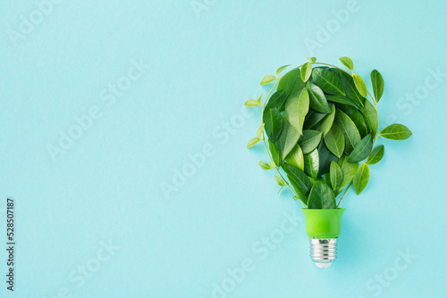 Canvas Print Green eco friendly lightbulb from fresh leaves top view