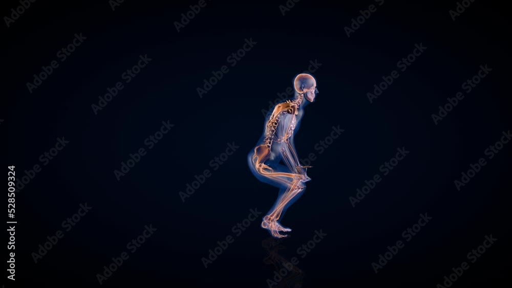 Human x-ray body and skeleton, lifting heavy object loop Human x-ray body and skeleton, lifting heavy object loop