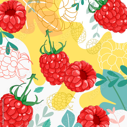 Abstract background with fruit, colourful background, grapefruit background.tropical.Red Raspberries pattern