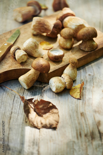 Fresh forest mushrooms boletus, king bolete, penny bun, cep, porcini, mushroom on old wooden board, dark brown table background, selective focus