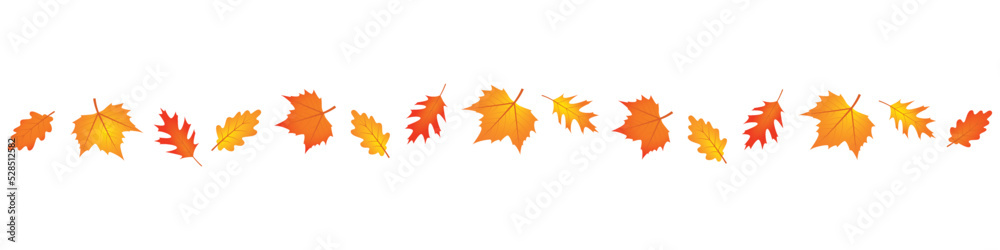 set of autumn leaves in the wind on white background set of autumn leaves in the wind on white background