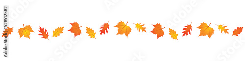 set of autumn leaves in the wind on white background