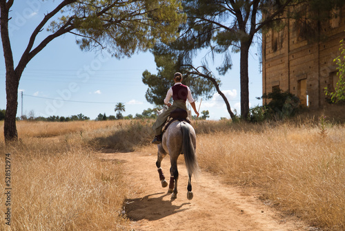 Woman horsewoman, young and beautiful, running at a trot with her horse, on a path with pine trees in the countryside. Concept horse riding, animals, dressage, horsewoman, cowgirl. © Manuel