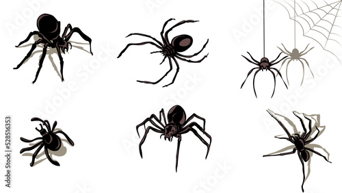 Collection of spiders isolated on white. Halloween decoration. Graphic elements, vector illustration. © Tatiana