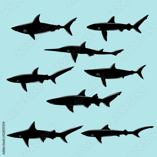 illustration of a shark