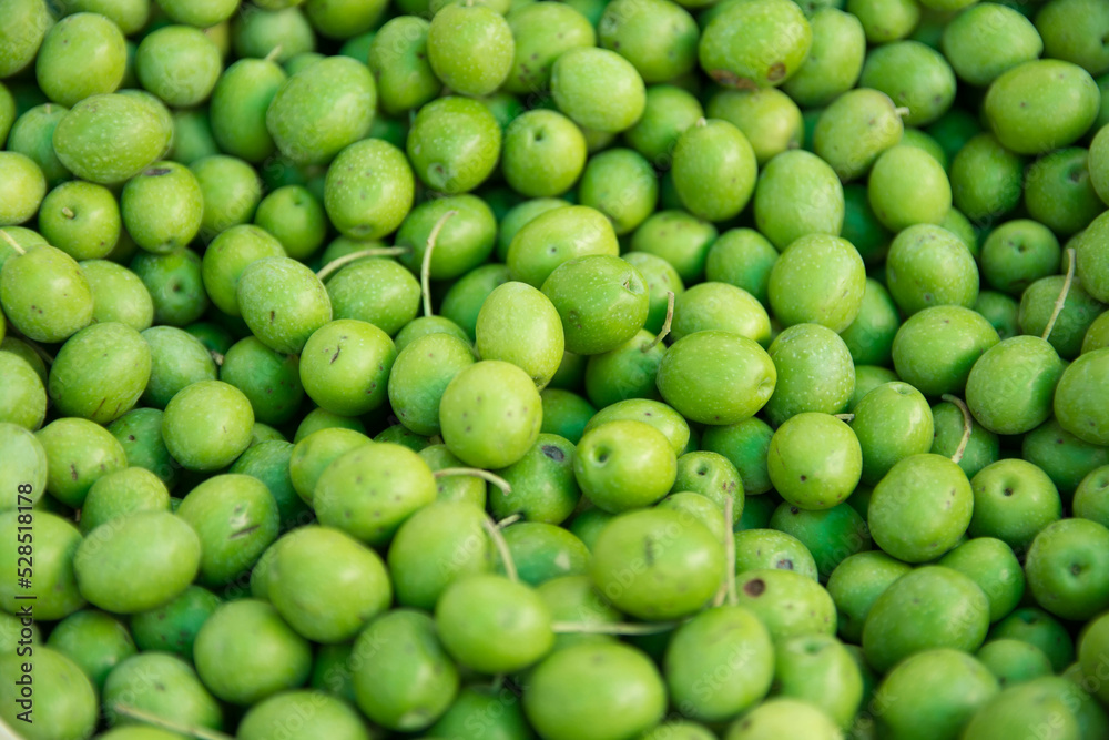 Grupo de aceitunas olivas ecologicas. Close up. Space text.