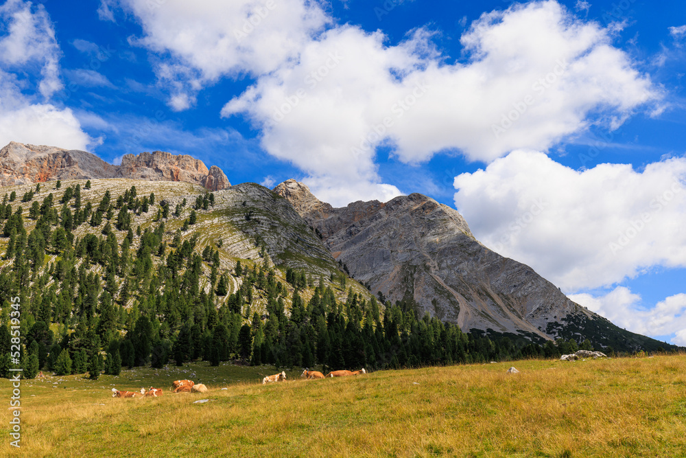 Forcella Lerosa - Dolomites - Italy