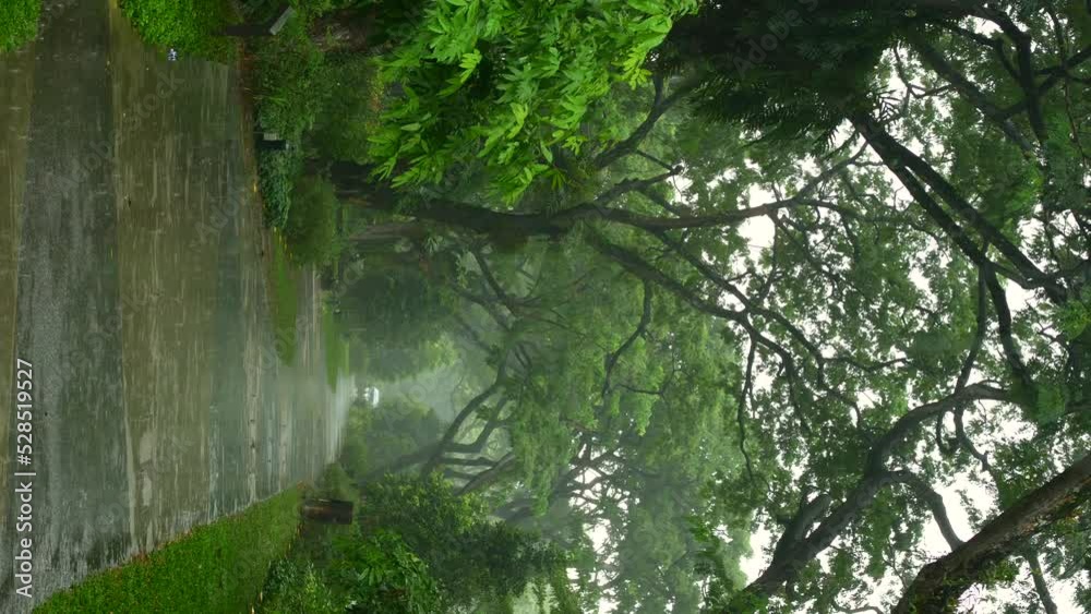 Rainy Day in a empty park in signapore Rainy Day in a empty park in signapore