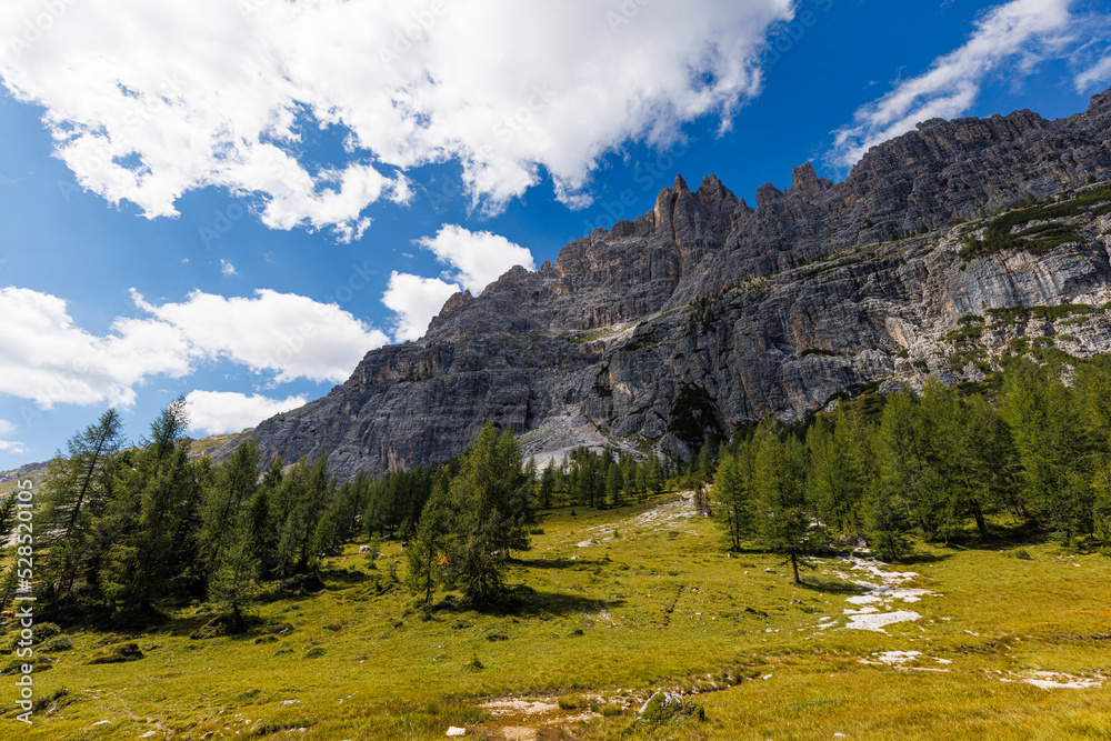 Croda da lago - Dolomites - Italy