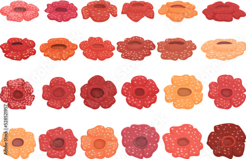 Rafflesia icons set cartoon vector. Flower bloom. Asian beauty photo