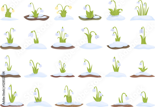 Snowdrop icons set cartoon vector. Nature flower. Spring leaf