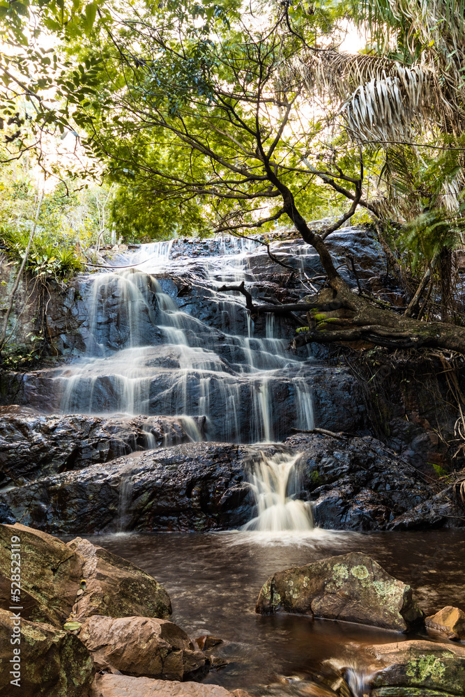 Fototapeta premium waterfall in the forest