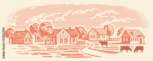 Rural landscape with cows vector. Village with field