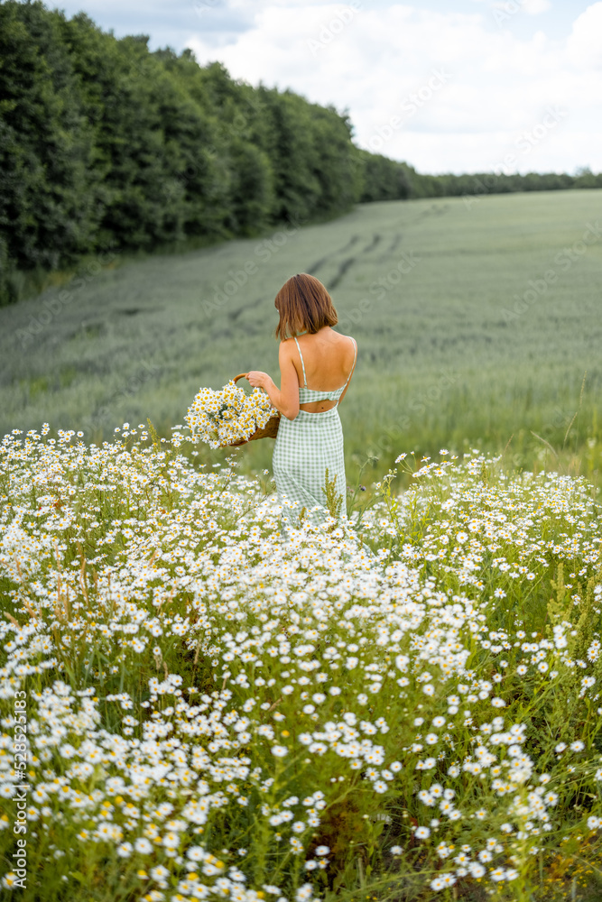 Young stylish woman in dress enjoys summer time, spending leisure time, gathering wild flowers in daisy field Young stylish woman in dress enjoys summer time, spending leisure time, gathering wild flowers in daisy field