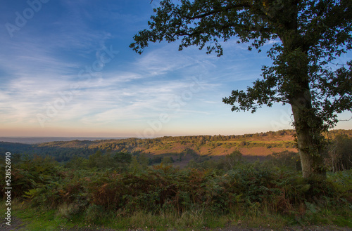 A beautiful autumnal view across the Devils Punch Bowl at sunset