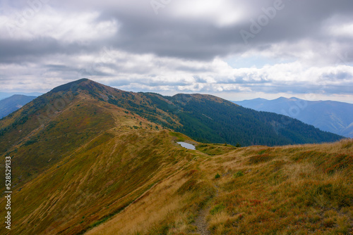 carpathian mountains on an autumn day. stremenis peak in the distance beneath a cloudy sky. grassy alpine ridge with coniferous forest on the hills
