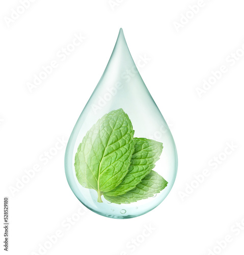 Drop of mint oil with fresh leaves inside isolated on white background. clipping path.