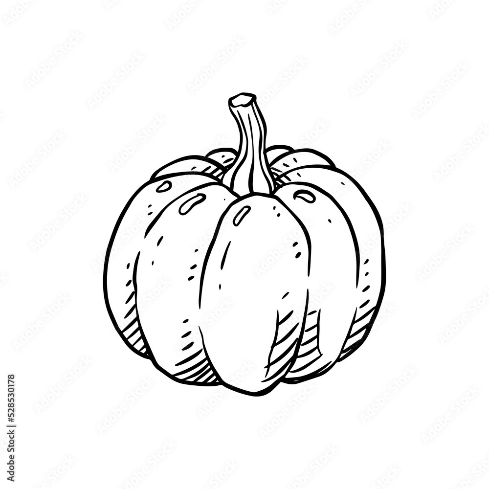pumpkin for vegetables and fruits illustrations design pumpkin for vegetables and fruits illustrations design