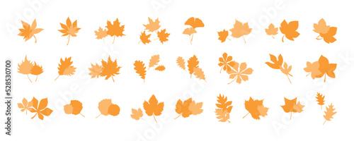 Autumn botanical leaves for design decor. Set of autumn leaves combination, herbal elements. Collection of fall orange leaves. Can be used as decorations for Back to School, Halloween or Thanksgiving.