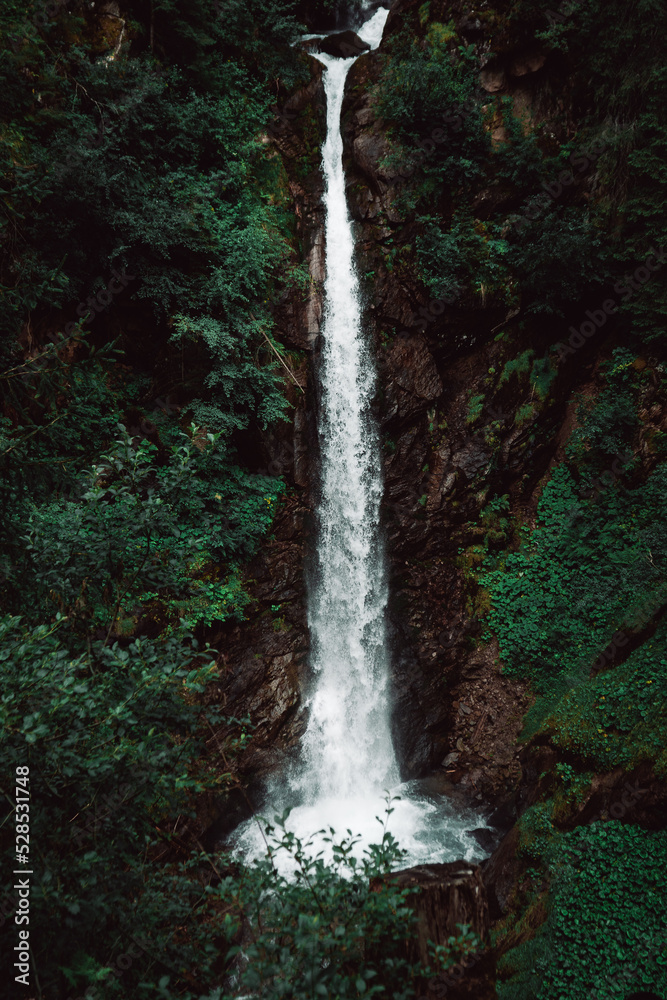 waterfall in the forest waterfall in the forest