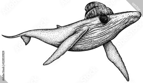 Vintage engrave isolated dressed fashion blue whale set illustration humpback costume ink sketch. Wild new hat sunglasses hipster cachalot background line glasses giant  dolphin vector art