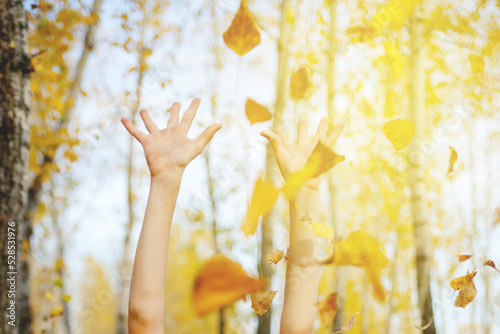 hands throw up yellow autumn leaves, against background of sky and trees. Lens flare