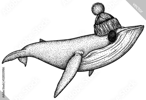 Vintage engrave isolated dressed fashion blue whale set illustration humpback costume ink sketch. Wild new hat sunglasses hipster cachalot background line glasses giant  dolphin vector art