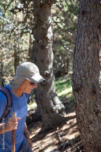 Mature man with a cap, sunglasses and a backpack starting hiking in a pine forest in Pyrenees, Spain