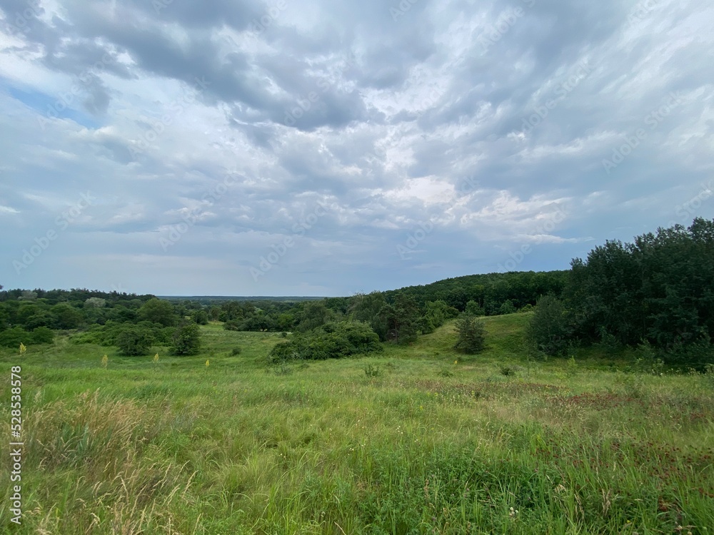 grass and sky