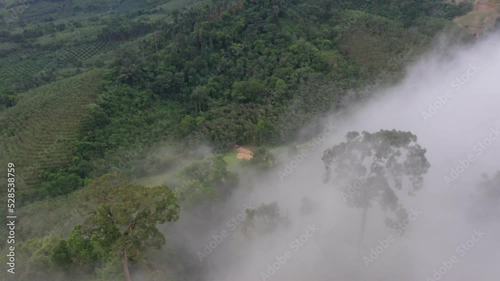 .aerial view a sea of white mist envelops the mountain peak, slowly flowing down from the mountain peak..mist above the mountain in tropical rainforest and beautiful scenery view in Phang Nga valley .aerial view a sea of white mist envelops the mountain peak, slowly flowing down from the mountain peak..mist above the mountain in tropical rainforest and beautiful scenery view in Phang Nga valley
