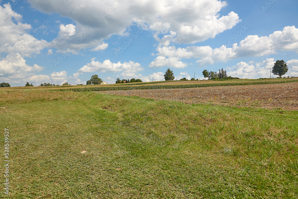 Obraz premium farmers field.