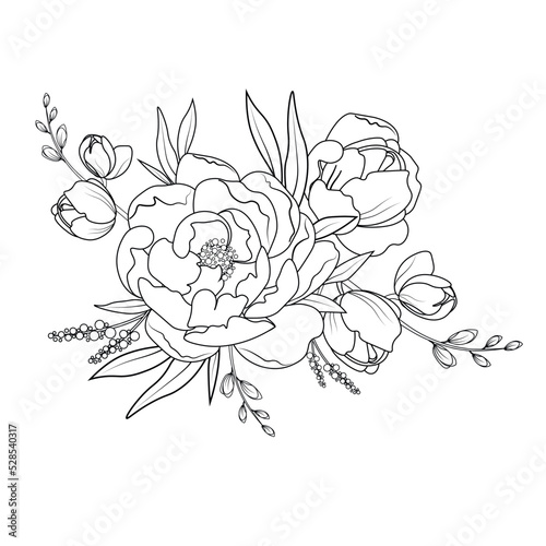 Drawing and sketch of wild rose flowers with a line drawing on a white background.