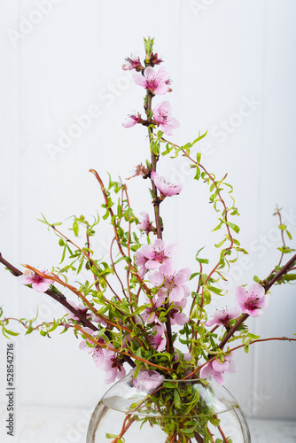 Blossoming peach branches in a glass vase on a white background