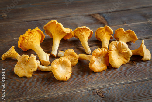 Mushrooms on an old wooden table. Edible chanterelle mushrooms.
