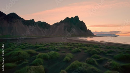 Vestrahorn mountain and clump of grass on black sand beach in the morning at Stokksnes Peninsula, Iceland photo