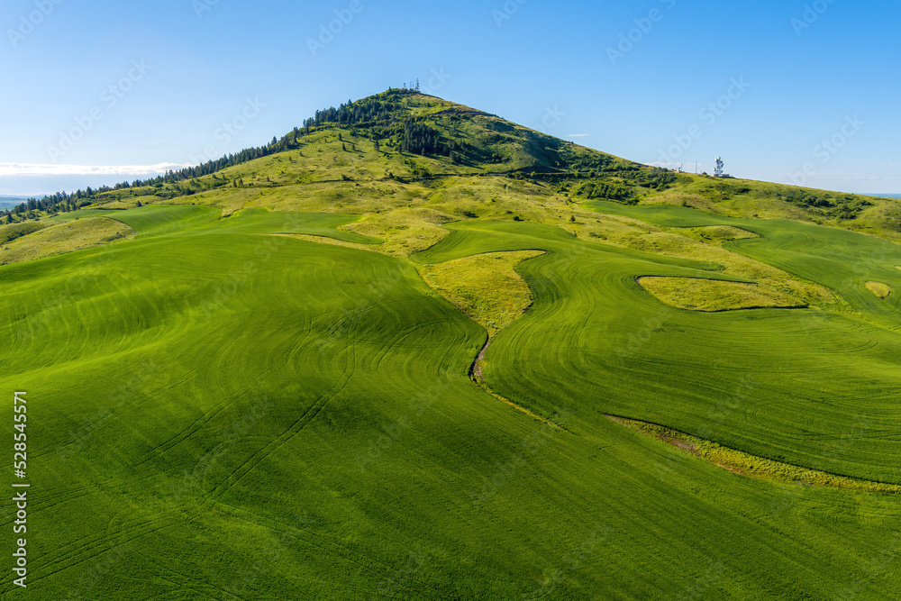 Portrait of Steptoe butte in Eastern Washington Portrait of Steptoe butte in Eastern Washington