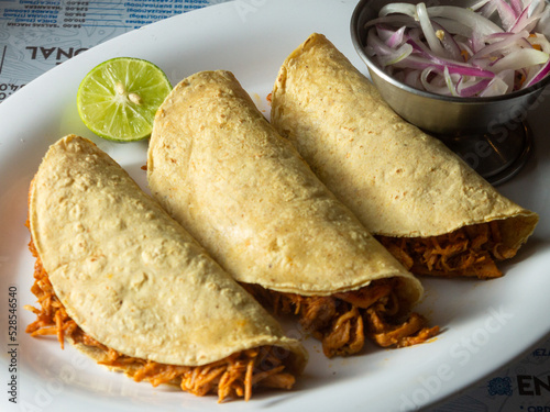 mexican food cochinita pibil  photo