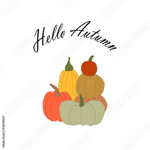 pumpkins, halloween, fall harvest gourds. Autumn thanksgiving and halloween pumpkins collection
